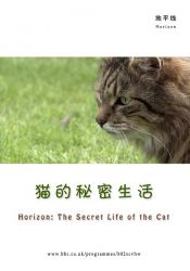 地平线系列：猫的秘密生活
