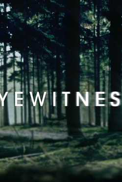 目击者/目击证人第一季